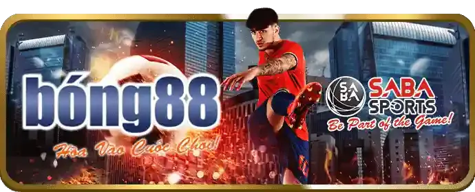 Hoàn trả cược thể thao hàng tuần